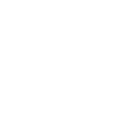 The Future Perfect Company Logo